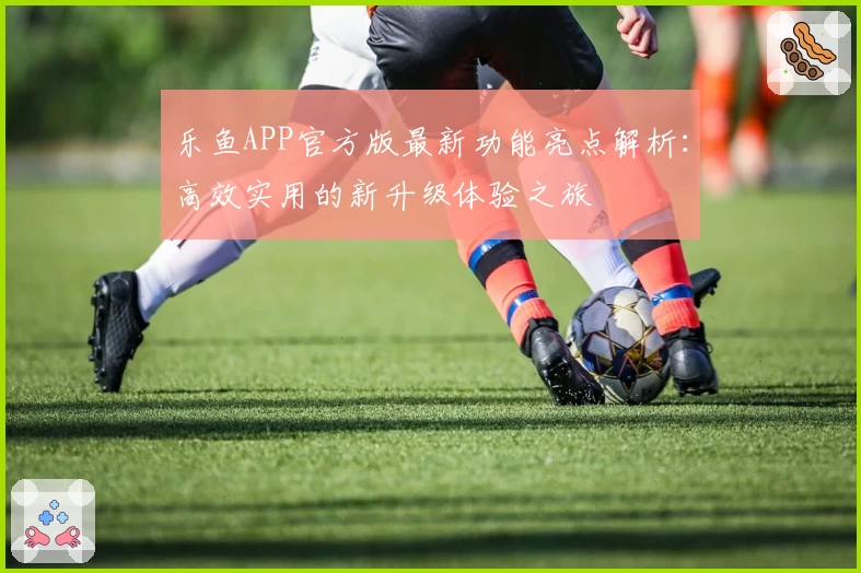 乐鱼APP官方版最新功能亮点解析:高效实用的新升级体验之旅