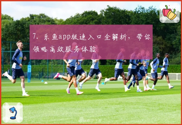 7. 乐鱼app极速入口全解析，带你领略高效服务体验