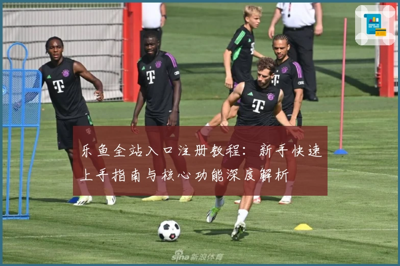 乐鱼全站入口注册教程：新手快速上手指南与核心功能深度解析